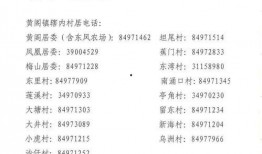 牛不啦大小娜最新爆料,揭秘娱乐圈惊天秘密！
