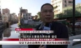 大连勇哥爆料新闻视频,揭秘新闻背后真相
